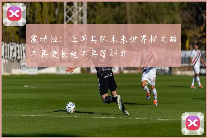 蒙特拉：土耳其队未来世界杯之路不再漫长绝不再等24年