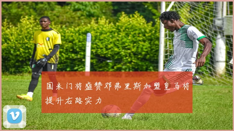 国米门将盛赞邓弗里斯加盟皇马将提升右路实力