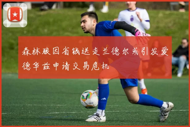 森林狼因省钱送走兰德尔或引发爱德华兹申请交易危机
